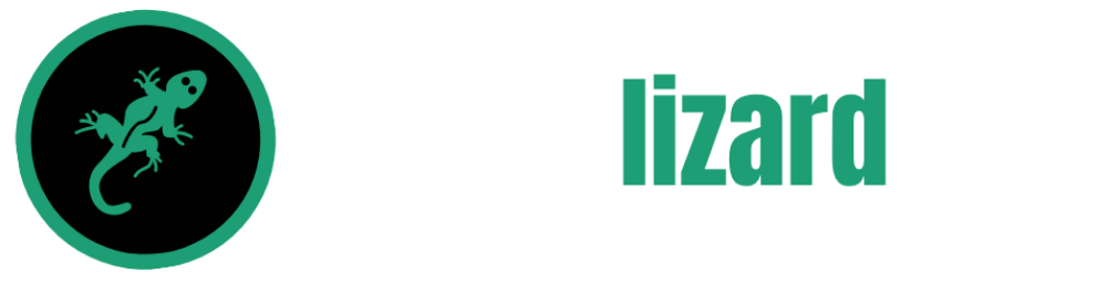 Digital Lizard IPTV
